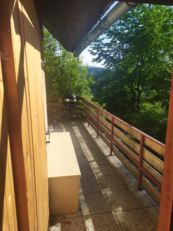 Chata Na Poskle U Lesa S Vyhledem Hutisko Exterior foto